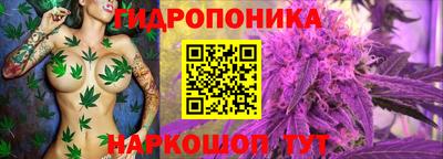дживик Новокубанск
