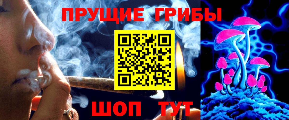 Урай  Псилоцибиновые грибы Psilocybe  Вход с VPN  Псилоцибиновые грибы Psilocybe 